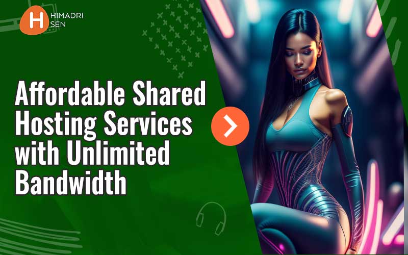 Affordable Shared Hosting Services with Unlimited Bandwidth